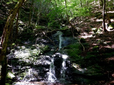 20240727-14.jpg (183.11 KiB) 閲覧された回数 10128 回 枝谷出合