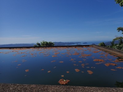 貯水池より