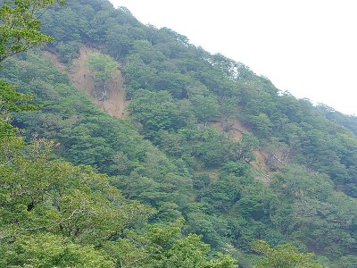 2024-08-03_11-26-54~2.jpg (192.73 KiB) 閲覧された回数 10133 回 多志田山南の崩壊