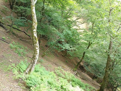 2024-08-03_11-42-48~2.jpg (275.45 KiB) 閲覧された回数 10129 回 崩壊状況を確認しに通過は無理です