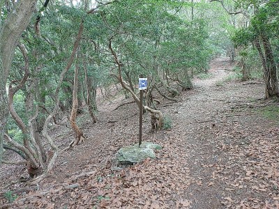 2024-08-03_09-44-12.jpg (288.7 KiB) 閲覧された回数 10127 回 丸山手前の追分から北側の尾根にトラバース