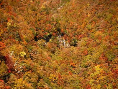 ヌタハラ谷不動滝