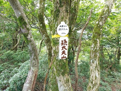 2024-09-16_12-47-15.jpg (299.46 KiB) 閲覧された回数 4840 回 インターチェンジだった孫大夫山