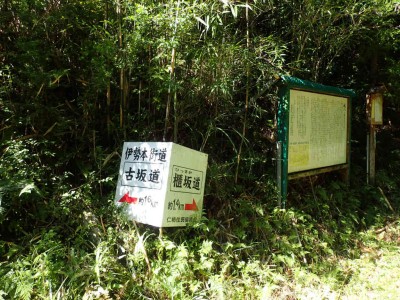 P9250022.jpg (135.66 KiB) 閲覧された回数 7216 回 古坂道と櫃坂道の分岐