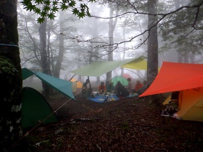 20240928-12.jpg (98.45 KiB) 閲覧された回数 11332 回 20240928-12.jpg