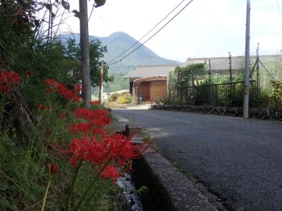 PA020041.jpg (85.72 KiB) 閲覧された回数 5665 回 彼岸花のある風景