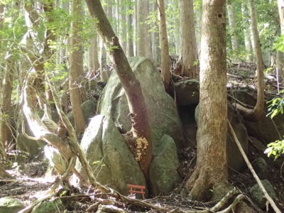 PA020052.jpg (97.31 KiB) 閲覧された回数 5664 回 姫石明神