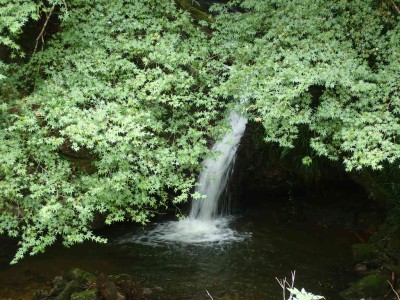 PA090036.jpg (126.38 KiB) 閲覧された回数 5102 回 オトバヤの滝