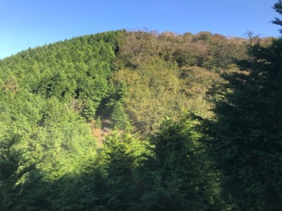 IMG_7332.jpeg (91.31 KiB) 閲覧された回数 5344 回 幾利山