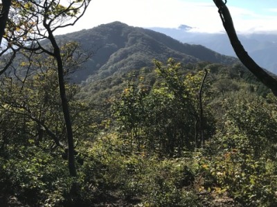 IMG_7333.jpeg (115.88 KiB) 閲覧された回数 5344 回 振り返って ソノド