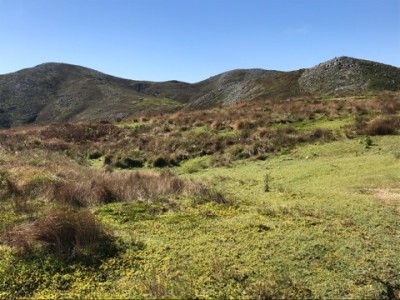 IMG_7334.jpeg (99.5 KiB) 閲覧された回数 5344 回 経塚山、霊仙山、最高点