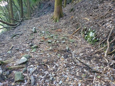 平場に石積と石