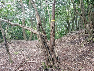 2024-11-04_10-30-51~2.jpg (307.43 KiB) 閲覧された回数 3338 回 P614