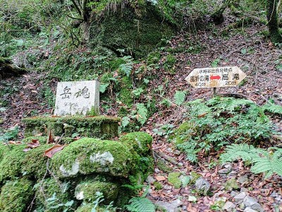 2024-10-11_07-21-21~2.jpg (297.83 KiB) 閲覧された回数 5918 回 岳魂の碑