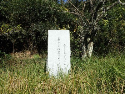 PB060070.jpg (163.92 KiB) 閲覧された回数 4289 回 芭蕉句碑