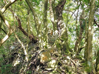 中尾のメタボチェック