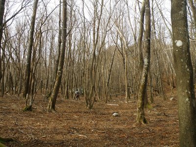 p1214西コル付近