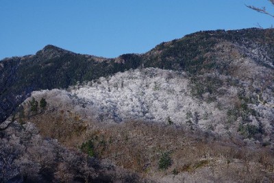 IMGP1157.JPG (78.8 KiB) 閲覧された回数 5326 回 右上に弥山小屋が見えるが、白いのはもっと下