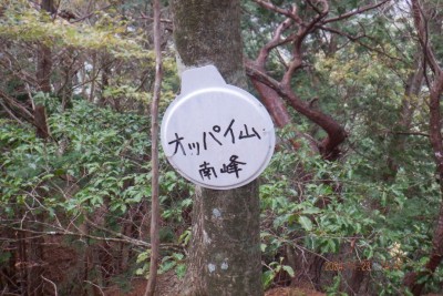 DSCF3300@.JPG (149.01 KiB) 閲覧された回数 6912 回 オッパイ