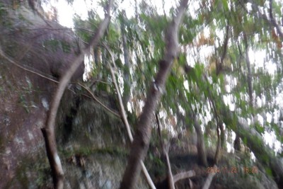 DSCF3310@.JPG (111.56 KiB) 閲覧された回数 6912 回 最後の一手