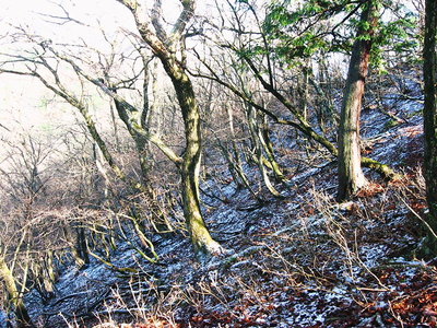 ● 鈴鹿山も初雪だったようです。