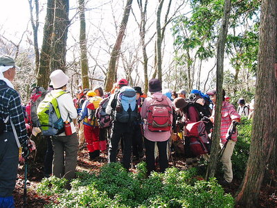 ● おやつにお喋りオデカケガおなごはんの三要素だよ。叶えてあげてくださいな。