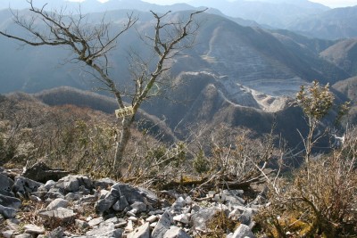 20081220_1040.jpg (536.41 KiB) 閲覧された回数 4072 回 倉骨山 このプレートも見あたらなかった。