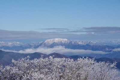 霧氷越しの伊吹山