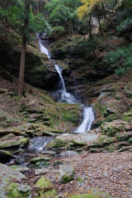 IMGP3261.JPG (217.83 KiB) 閲覧された回数 3216 回 七滝八壺下部