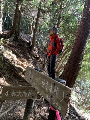 1734311698634.jpg (280.62 KiB) 閲覧された回数 6798 回 柚子之木峠