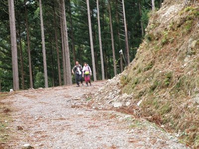 piccolo大魔王さんとケルトたん。ぽんぽこ。