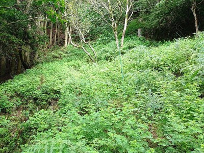 峠芸濃側の直下