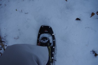 IMGP3753.JPG (56.75 KiB) 閲覧された回数 12489 回 ライトニングエクスプローラ