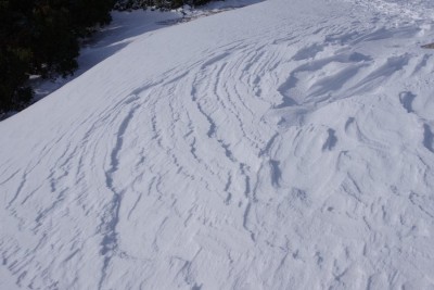 IMGP3836.JPG (92.56 KiB) 閲覧された回数 12489 回 シュカブラ