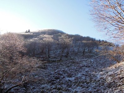 薄っすらと雪化粧