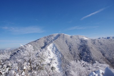 IMGP4213.JPG (135.9 KiB) 閲覧された回数 2928 回 文三ハゲと綿向山頂