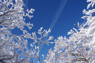 IMGP4224.JPG (168.97 KiB) 閲覧された回数 2930 回 青空霧氷と飛行機雲