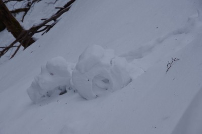 IMGP4529.JPG (36.87 KiB) 閲覧された回数 3601 回 超巨大バームクーヘン