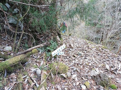 2024-12-28_08-57-36~2.jpg (302.81 KiB) 閲覧された回数 5902 回 大台ヶ原尾鷲道 登山口