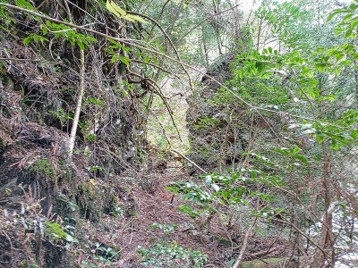 2024-12-28_09-18-00~2.jpg (288.42 KiB) 閲覧された回数 5913 回 上のインクラインからの切通し