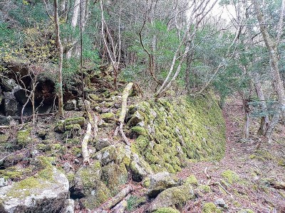 2024-12-28_09-24-48~2.jpg (305.94 KiB) 閲覧された回数 5902 回 インクライン