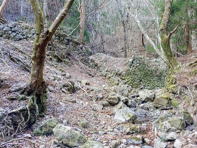 2024-12-28_13-08-22~3.jpg (305.68 KiB) 閲覧された回数 5902 回 谷の両側に古和谷駅の石積