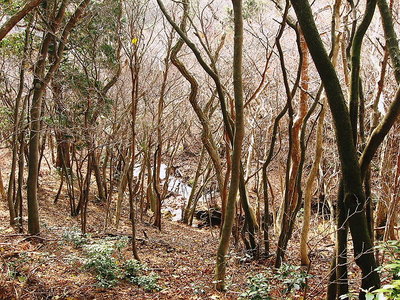 ●　水腺が高いから奥座敷は好いランチ場ですね。