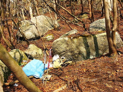 ● どんな風の強いときでも日向ぼっこに好いところある、クシロ邇だな。近くが好いのさ