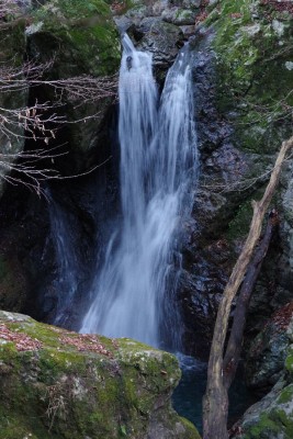 IMGP4880.JPG (169.56 KiB) 閲覧された回数 4344 回 岩戸の滝
