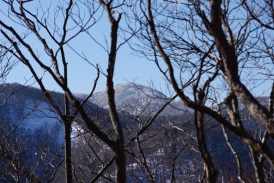樹間から国見山方面
