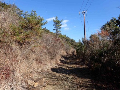 P1010043.jpg (121.93 KiB) 閲覧された回数 2669 回 気持ちの良い宇治岳道
