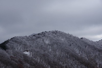 IMGP5080.JPG (96.74 KiB) 閲覧された回数 2269 回 林道から見えた霧氷