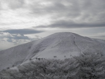 IMGP0970.JPG (67.12 KiB) 閲覧された回数 3371 回 クラ方面から見た竜ヶ岳