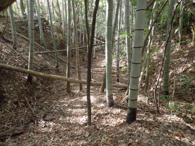 P1080044.jpg (133.77 KiB) 閲覧された回数 3031 回 消えかかった古街道